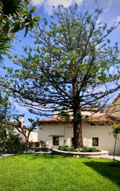 Chorio House Platanias Pension Vrísai Buitenkant foto